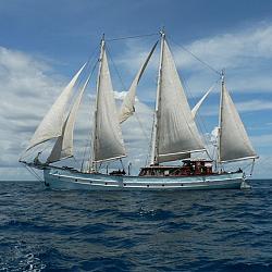 p1010815.jpg