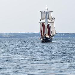 dsc_0779.jpg