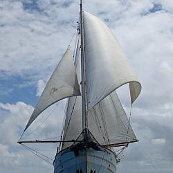 pxl_20250314_130257224_2.jpg