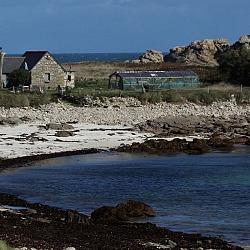 img_3865_2_.jpg